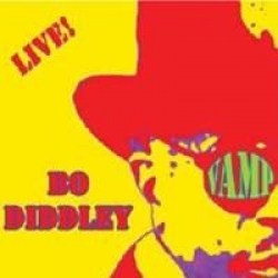 Bo Diddley And Mainsqueeze - Live